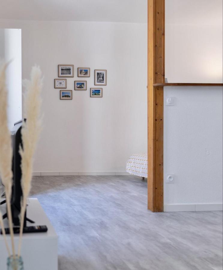 Vesoul Centre Historique Apartment Bagian luar foto